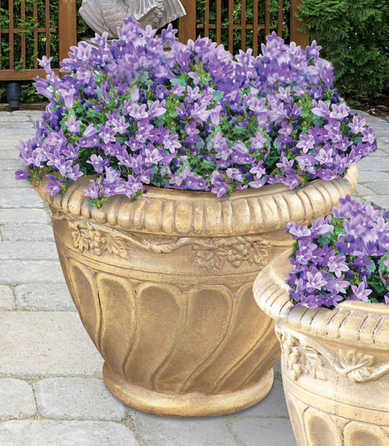 Planter, Concrete, Cabernet Vase