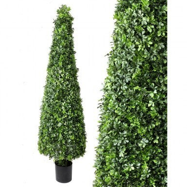 Faux, Boxwood Cone