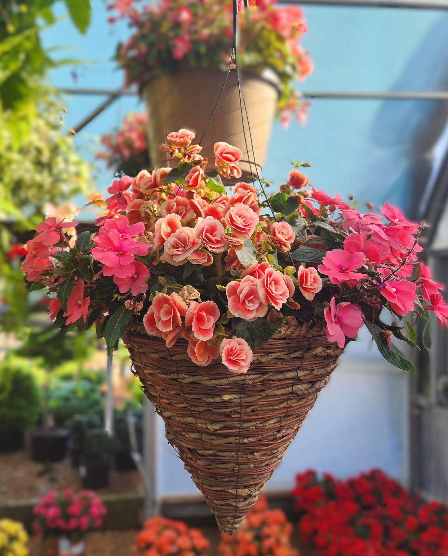 Hanging Basket, Flowering Combo Mix, SHADE