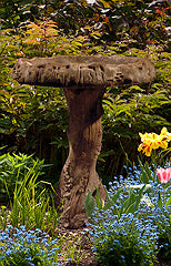 Birdbath, Concrete Wildwood