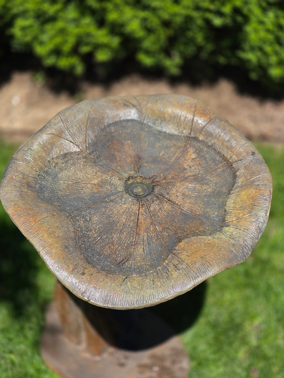 Birdbath, Concrete, Single Lily 1-Piece (H-2276)