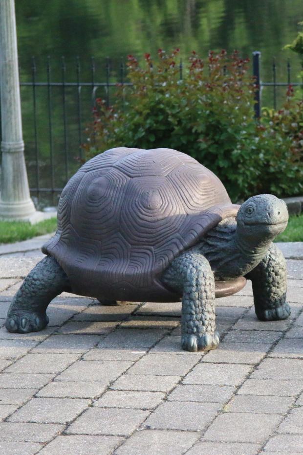 Statuary, Tortoise