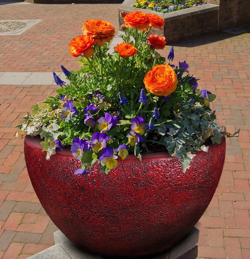 Planter, Concrete, Tranquility