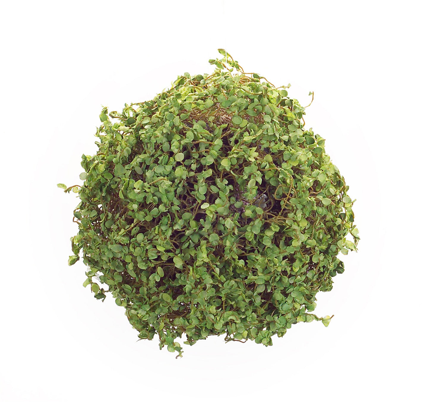 Faux, Moss Orb