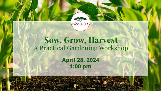 Sow, Grow, Harvest: A Practical Gardening Workshop