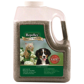 Pest Control, Dog & Cat