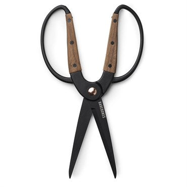 Scissors, Walnut