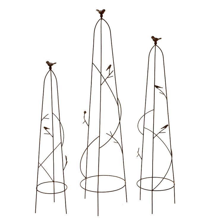 Trellis, Bird Branch Dome