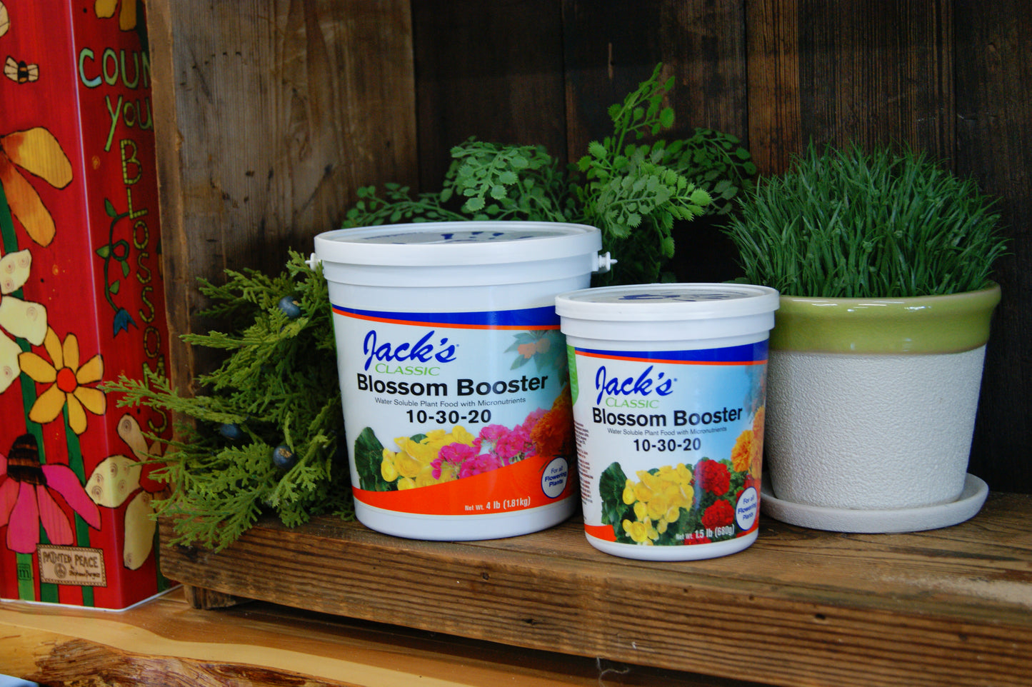 Plant Food, Jack's 10-30-20 Blossom Booster