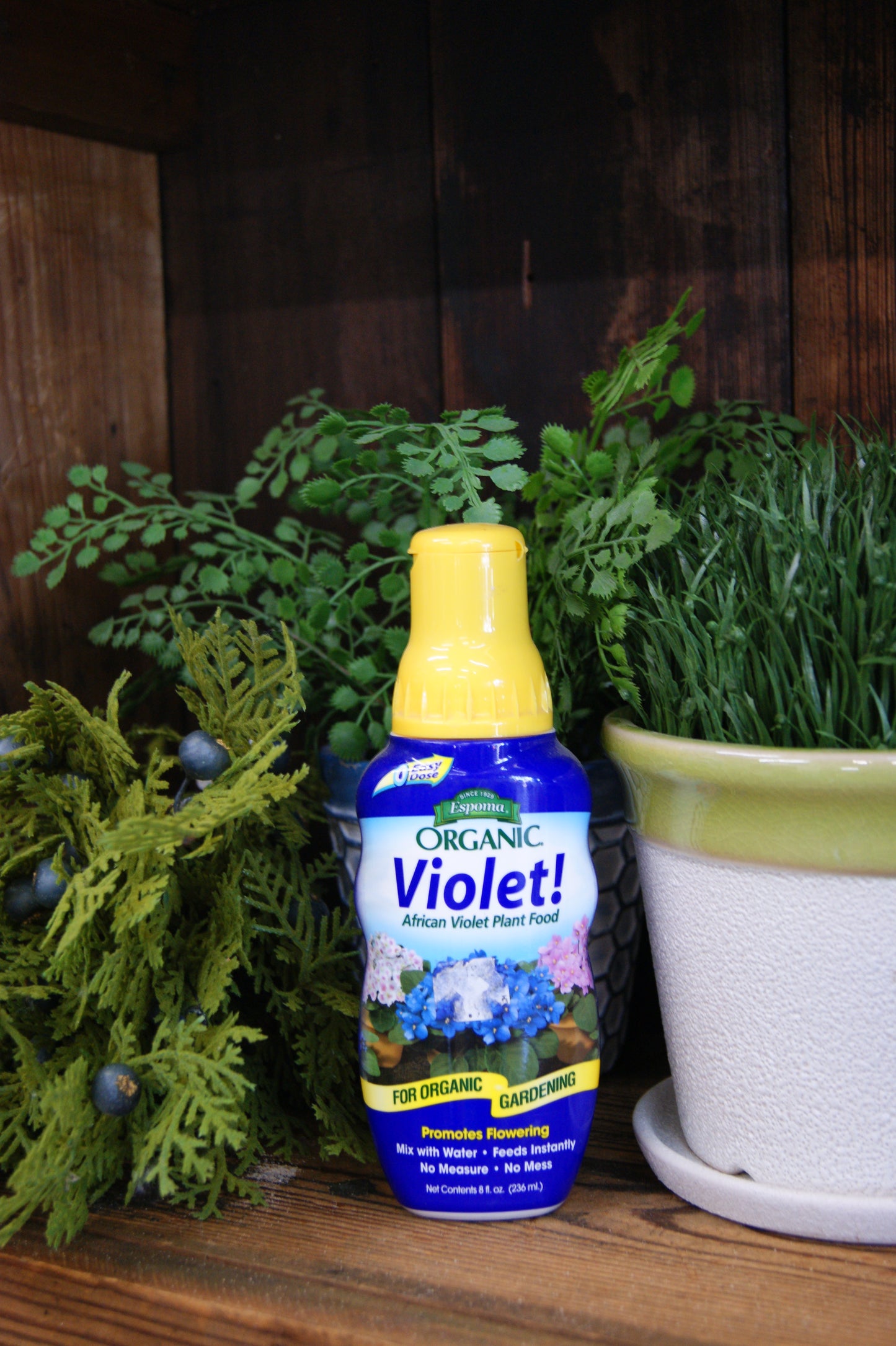 Plant Food, Espoma Violet Liquid