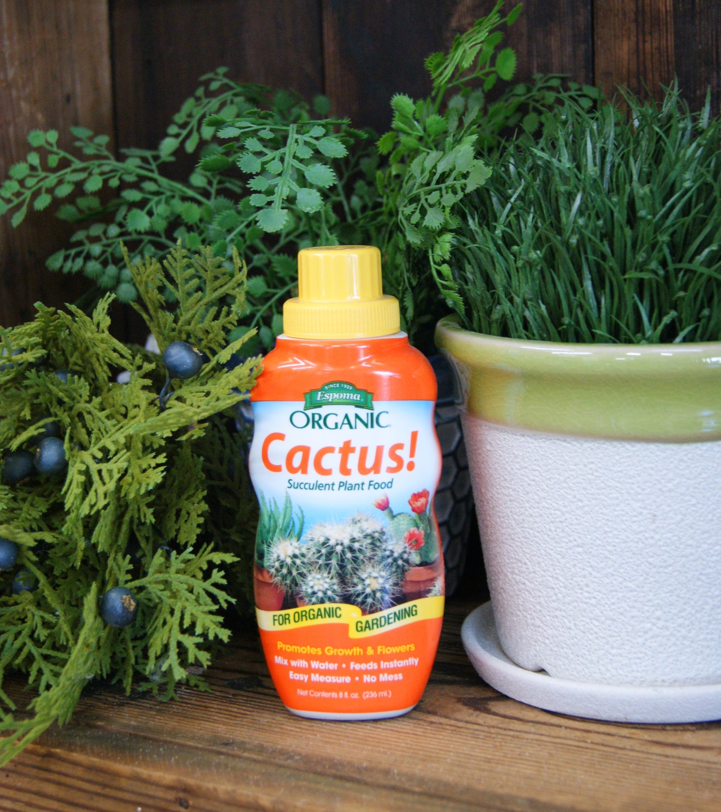 Plant Food, Cacti Liquid, Espoma