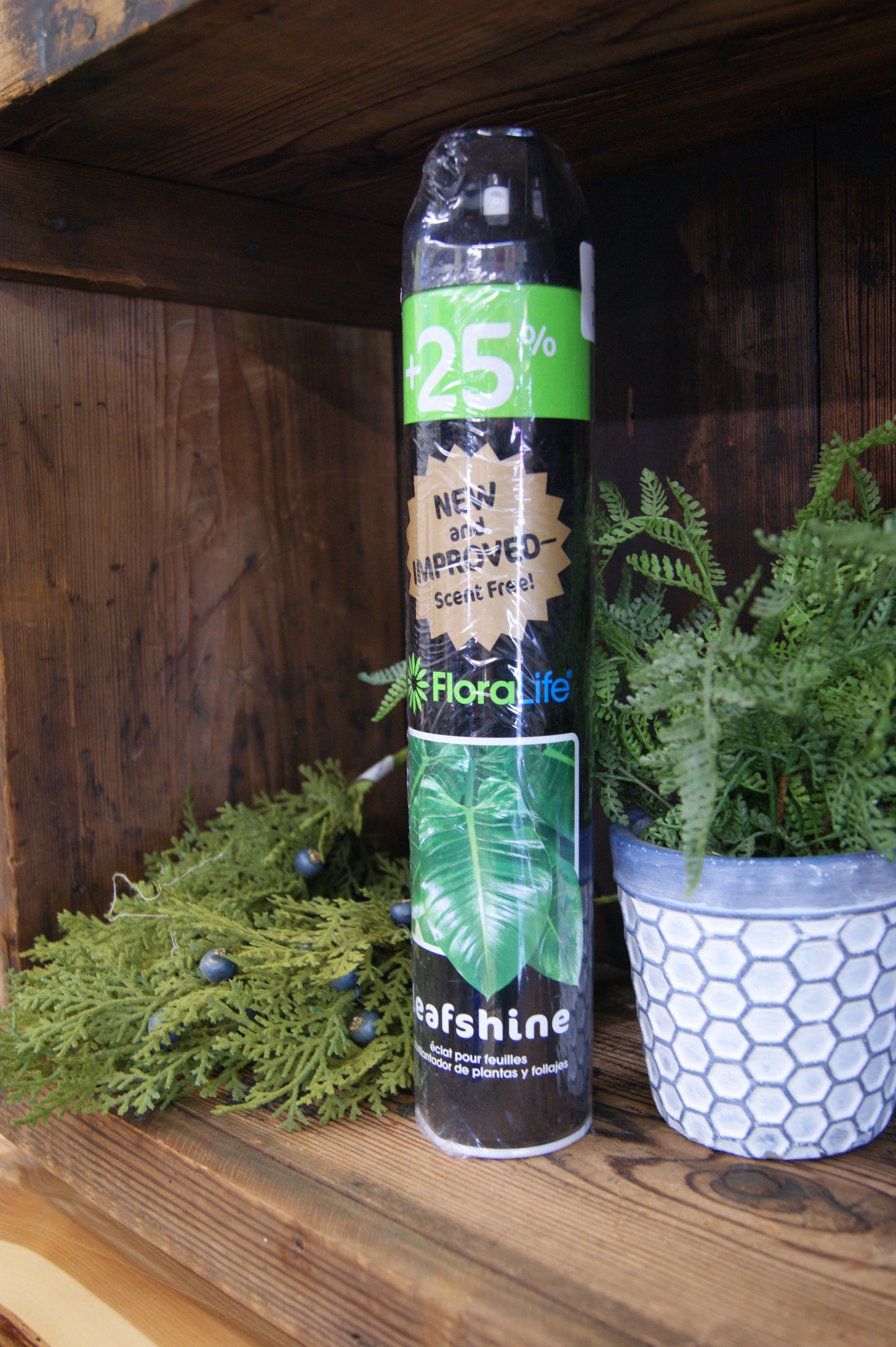 Treatment, Plant Shine