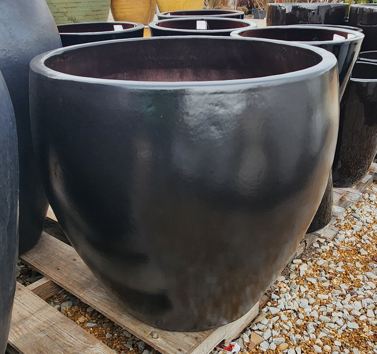 Planter, Glazed, Vista Bowl (JP-GGC-004B-CH)