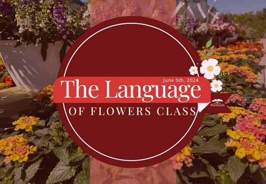 EVENT- The Language of Flowers