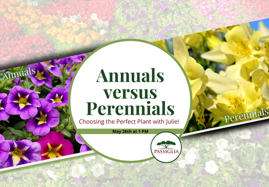 EVENT - Annuals vs Perennials