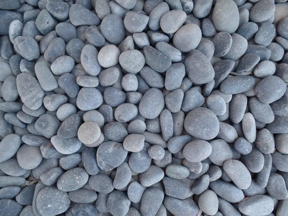 Cobblers / Pebbles, Mexican Beach