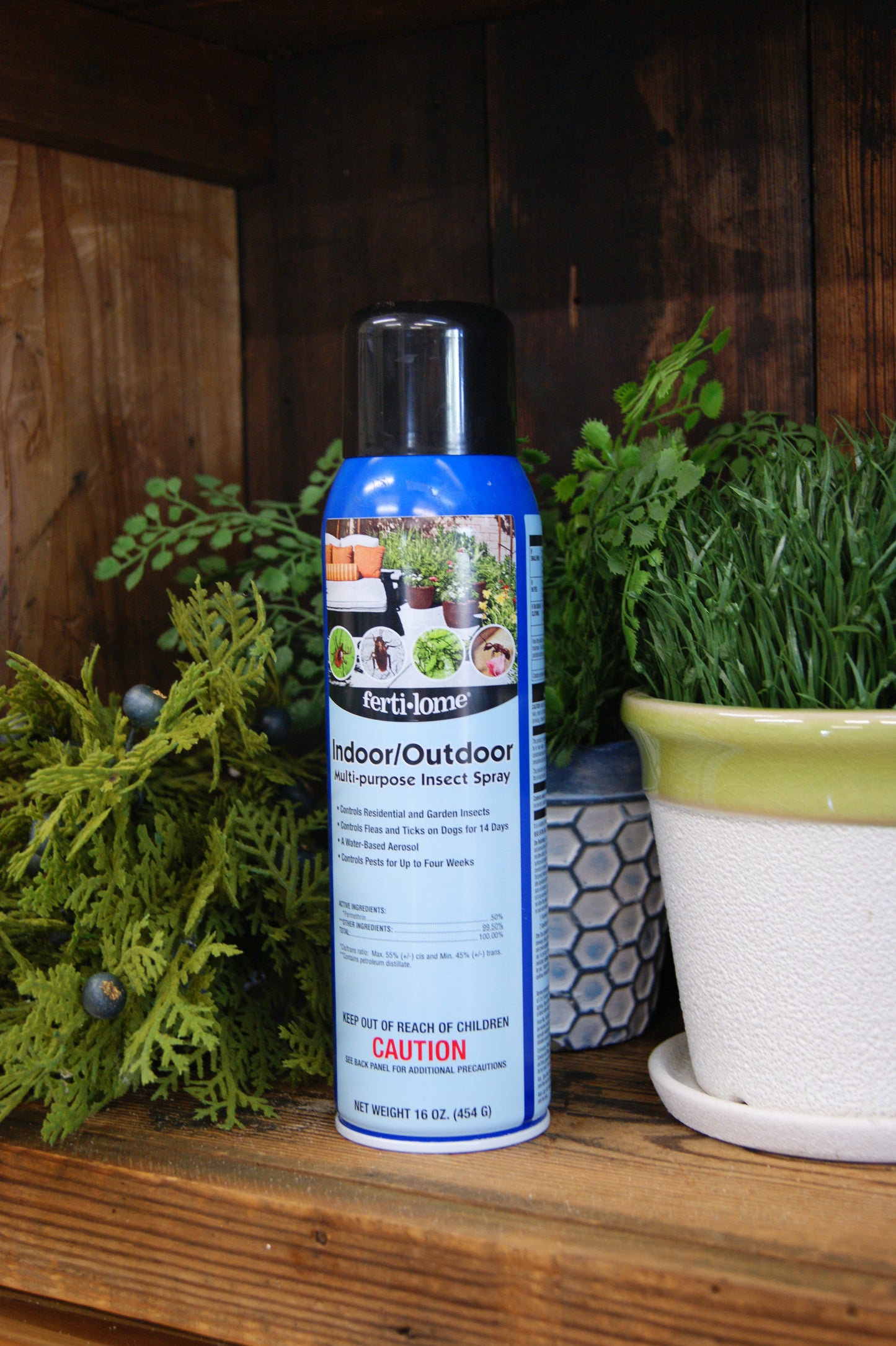 Insecticide, Indoor/ Outdoor