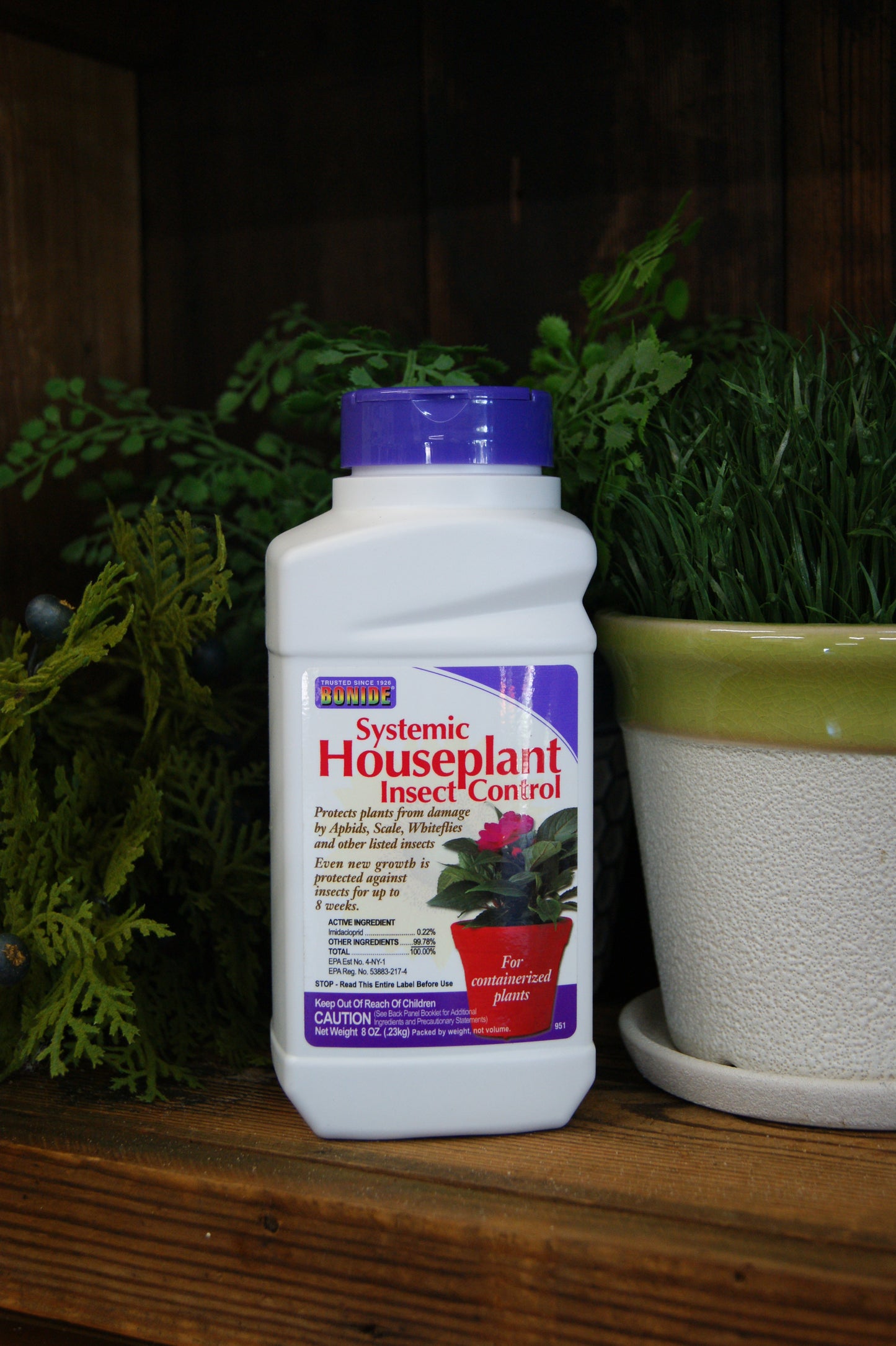 Insecticide, Systemic Houseplant