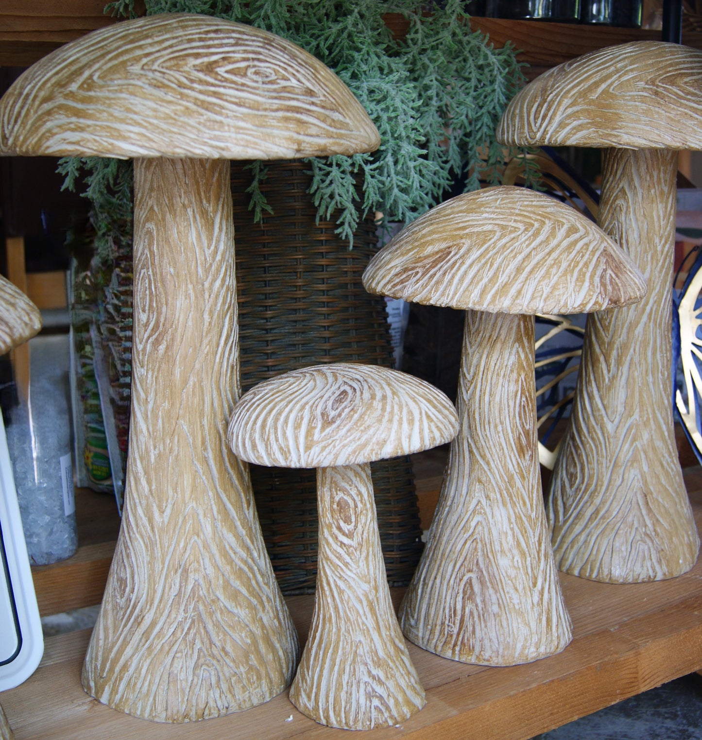 Sitter, Mushroom Wood-Look