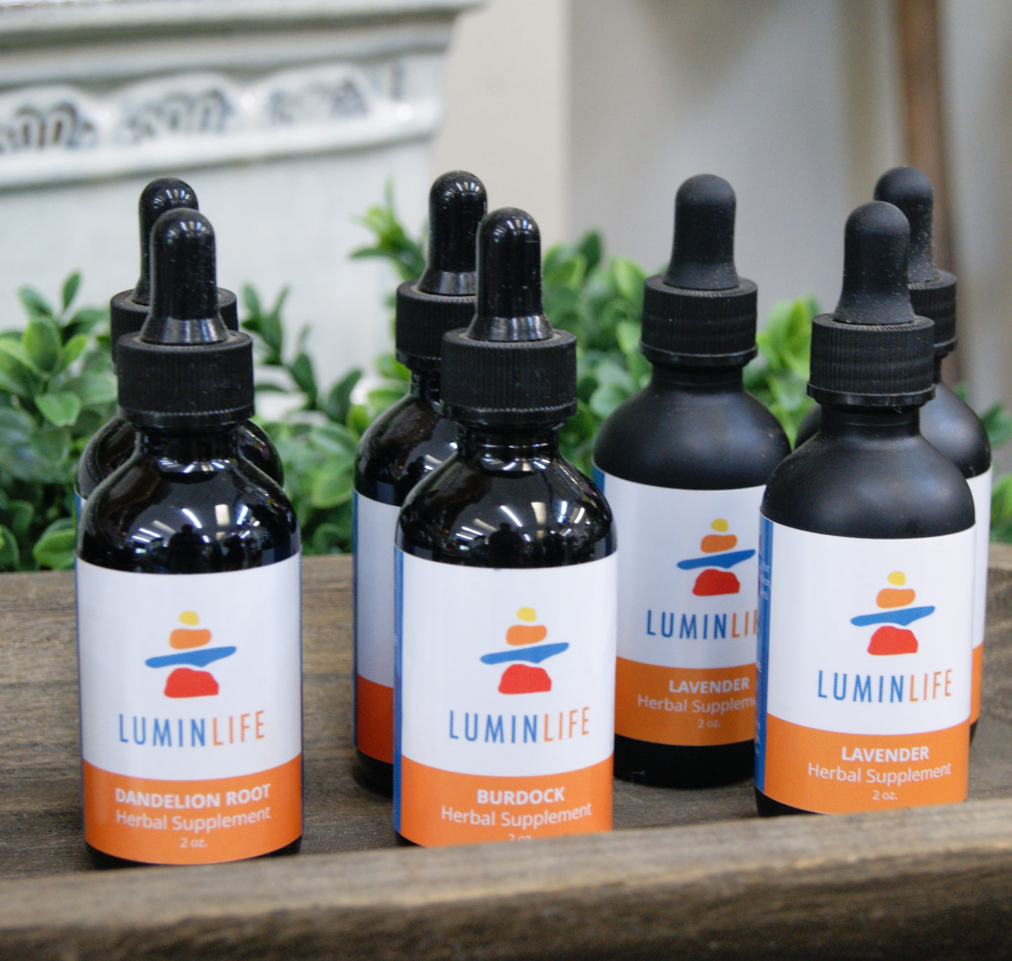 Tinctures, Dandelion