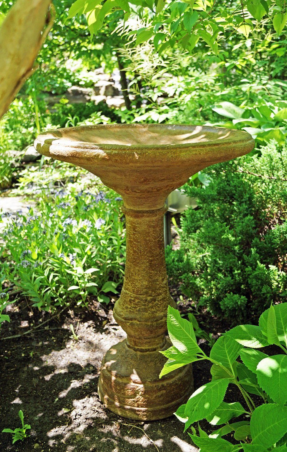 Birdbath, Concrete Wide Weathered