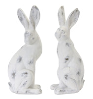 Sitter, Rabbit Cement / Resin