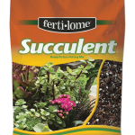 Potting Soil, Succulent, Fertilome