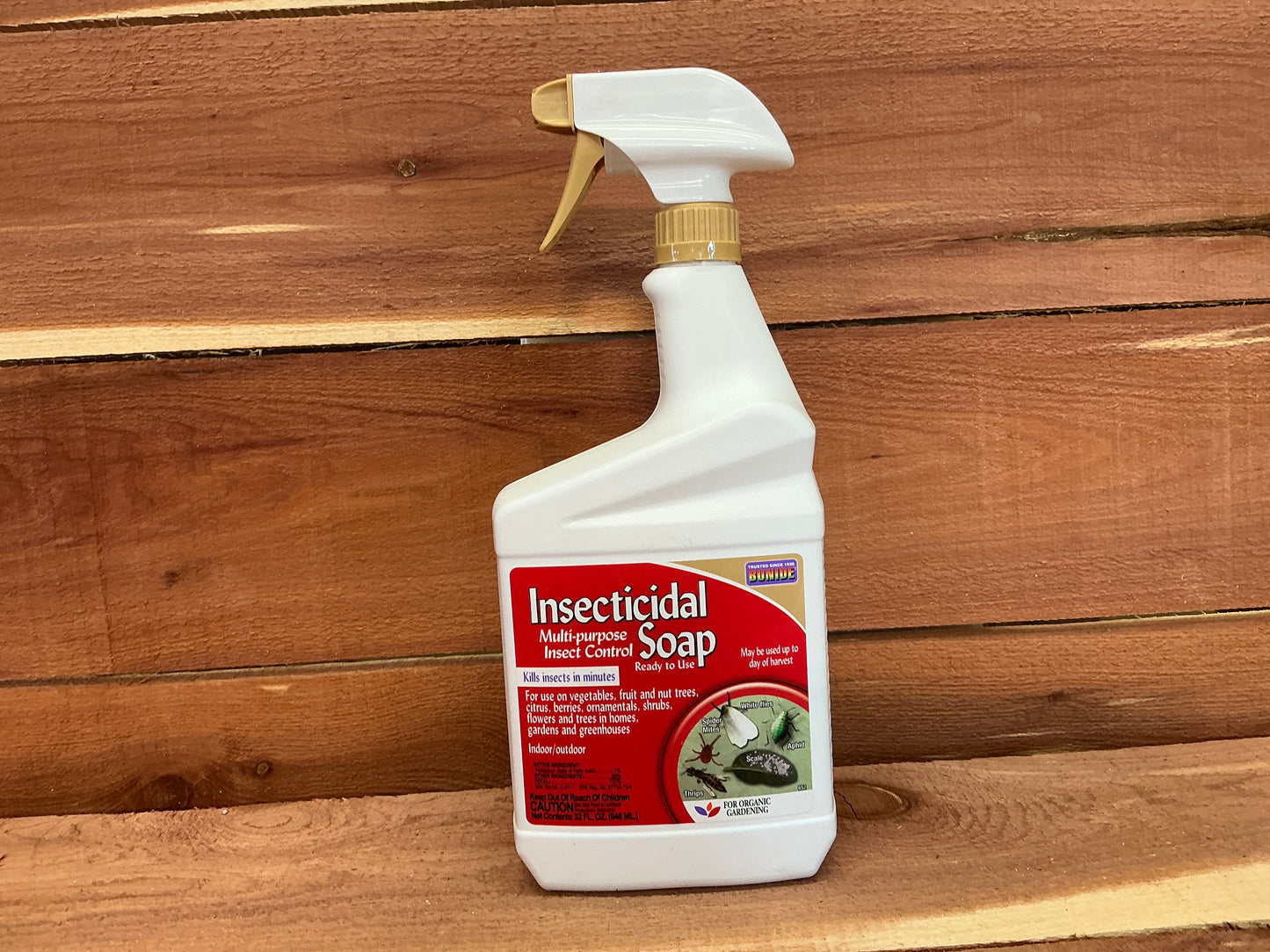 Insecticide, Soap