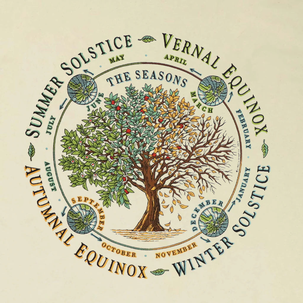 Garment, T-Shirts Seasons