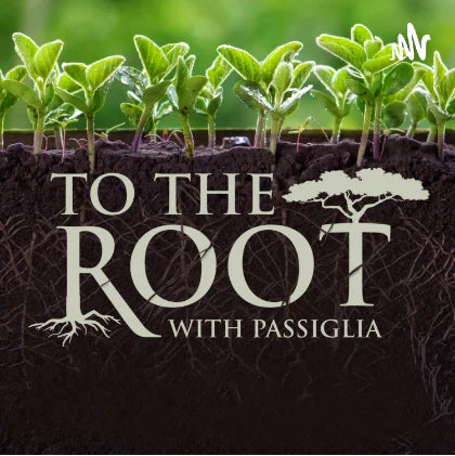 To The Root with Passiglia - Chris Passiglia