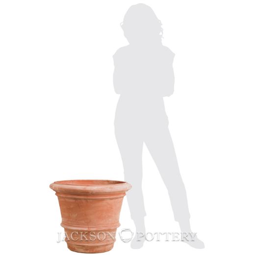 Planter, Terra Cotta, Roll Rim Tuscan