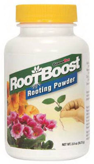 Treatment- Rooting Powder