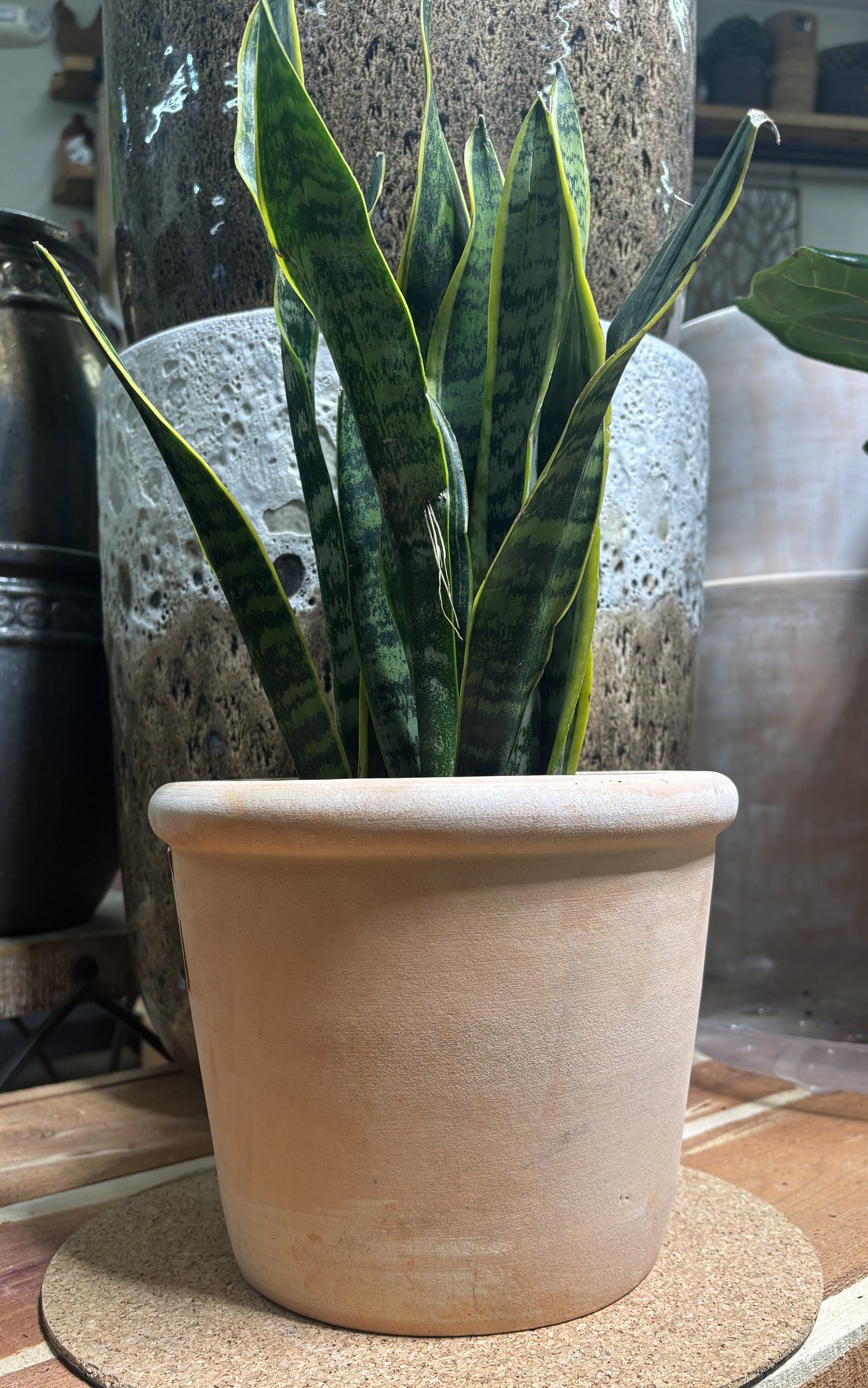 Planter, Terra Cotta, Eclectic Collection (JP-AT-PP-010)