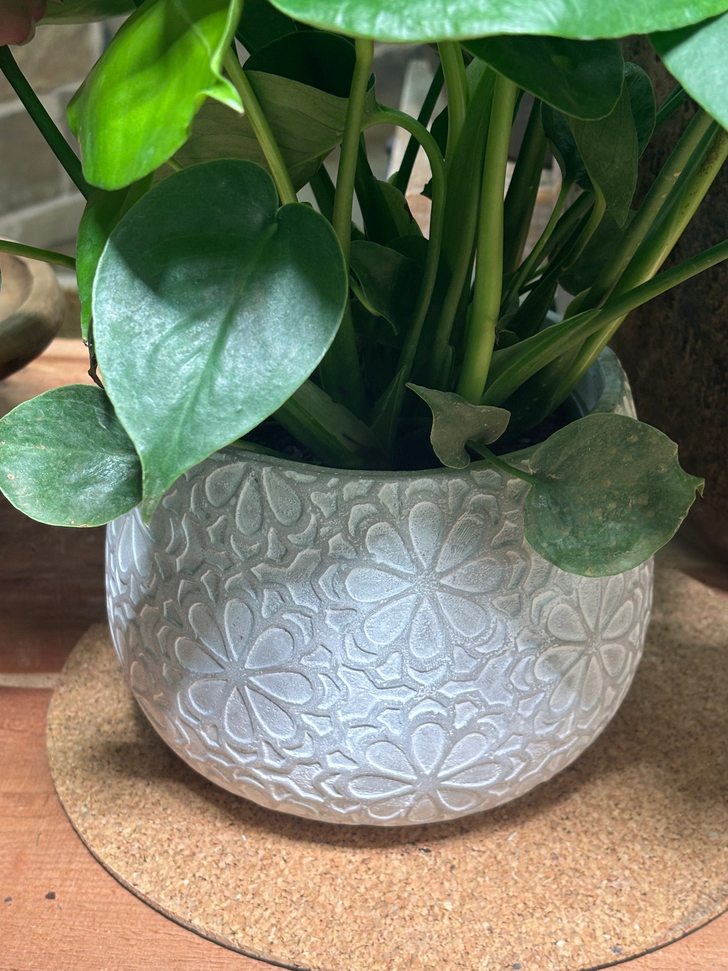 Planter, Earthenware, Marguerite (JP-LCP-591D)