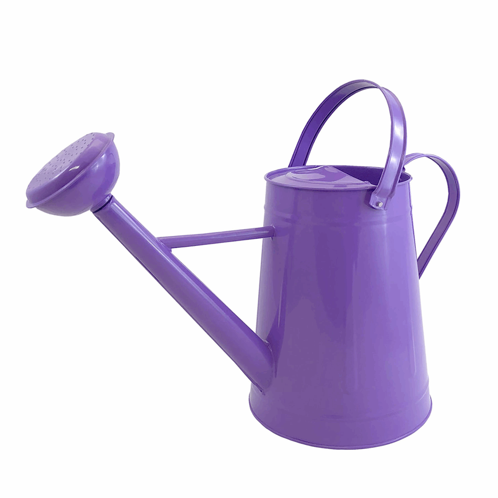 Watering Can- Violet