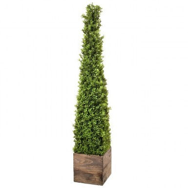 Plant, Faux- Boxwood Obelisk