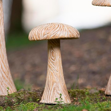 Sitter- WoodLook Mushroom