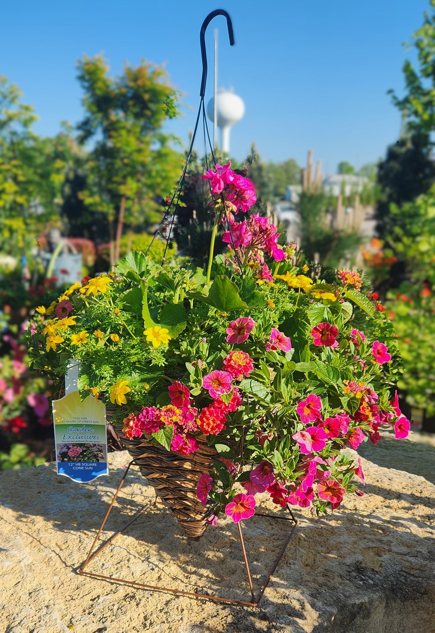 Hanging Basket, Flowering Combo Mix SUN
