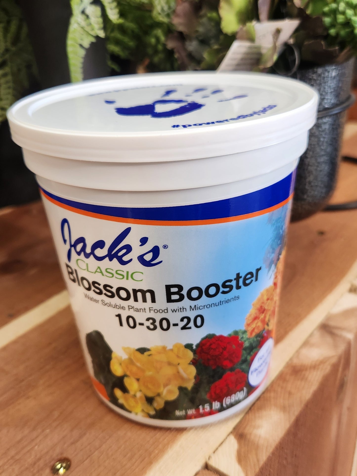 Plant Food, Jack's Classicote Slow Release