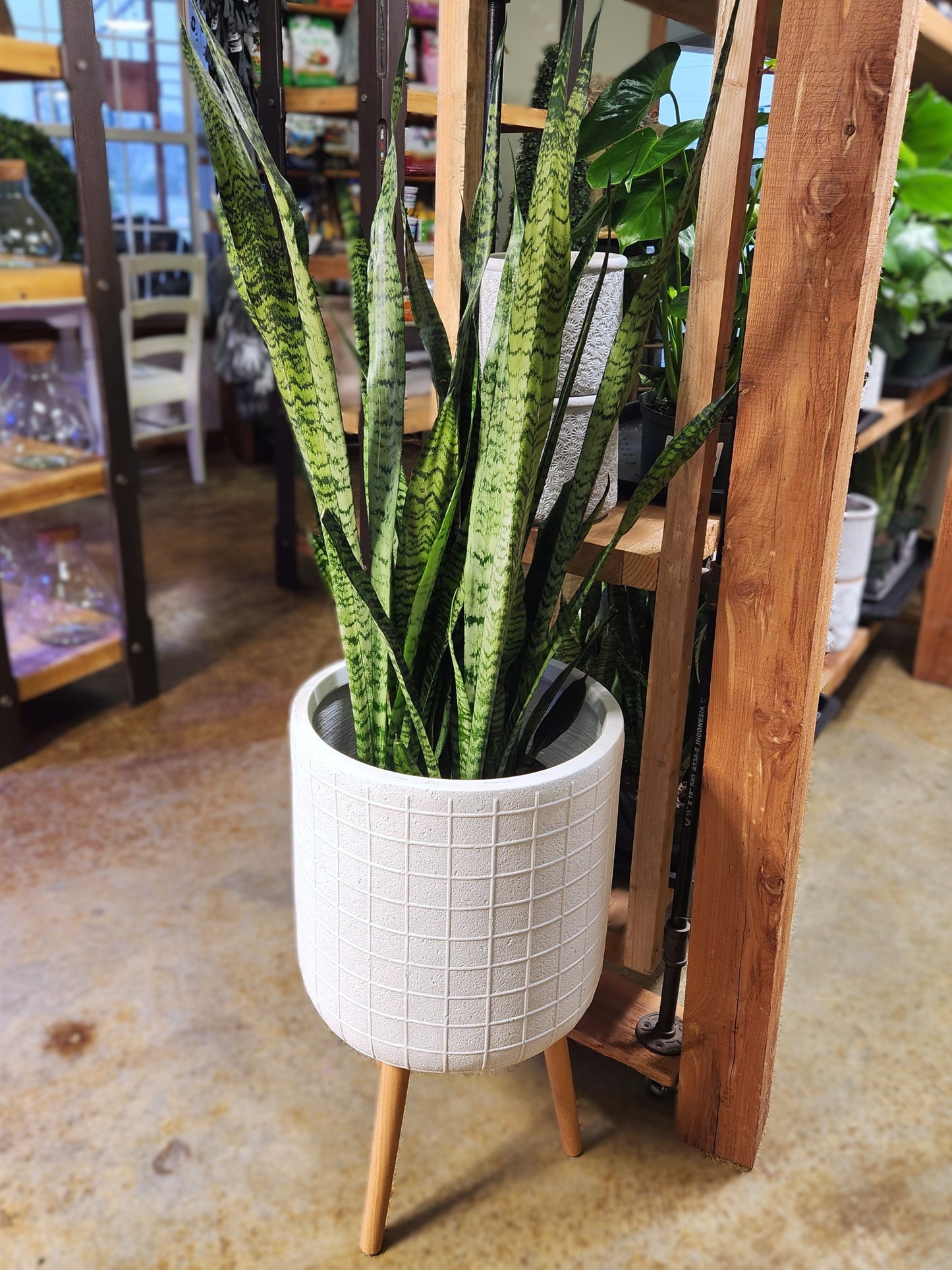 Planter, Fiberstone, Dalia