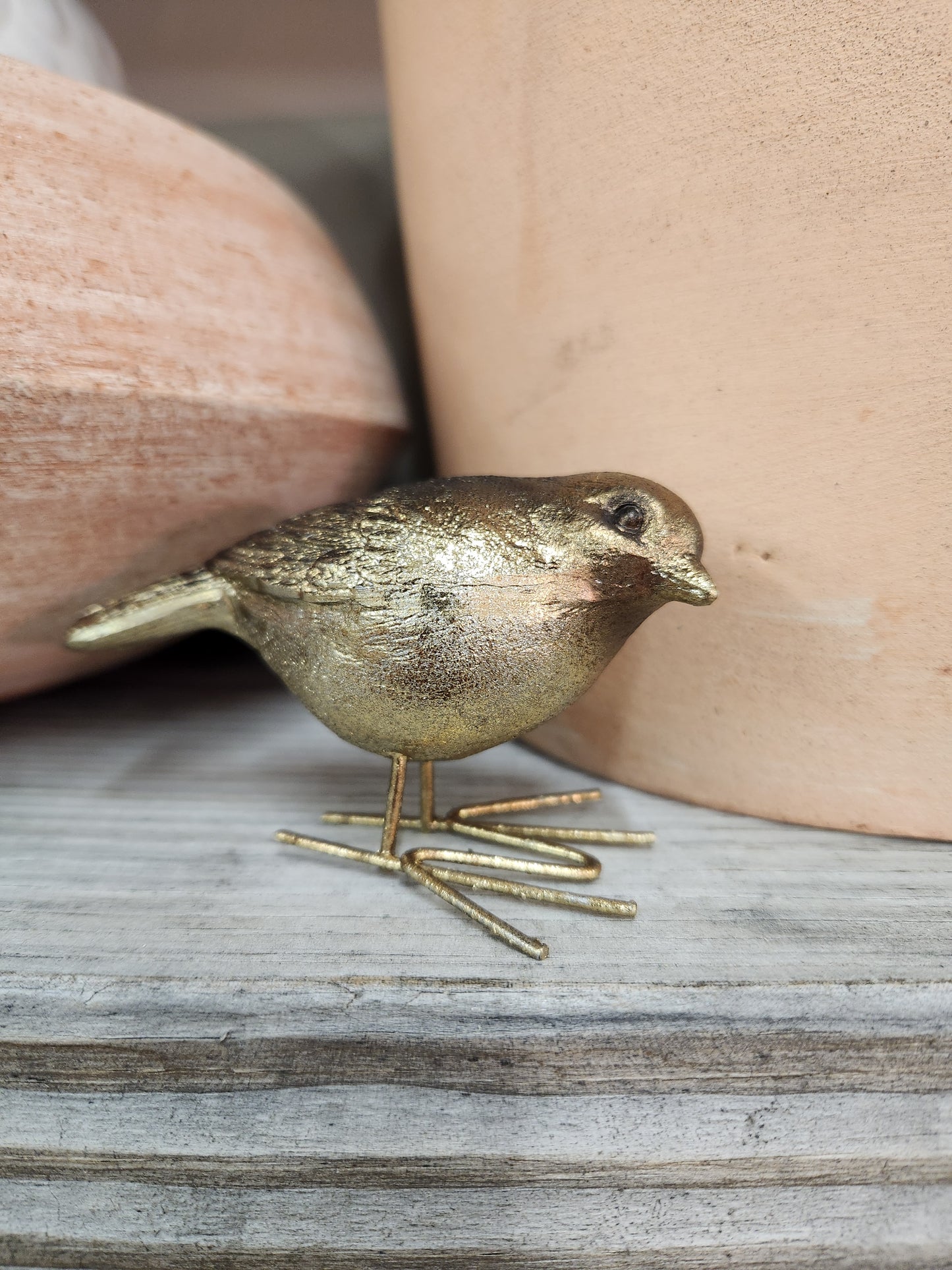 Sitter, Brass Birds (ADHG)