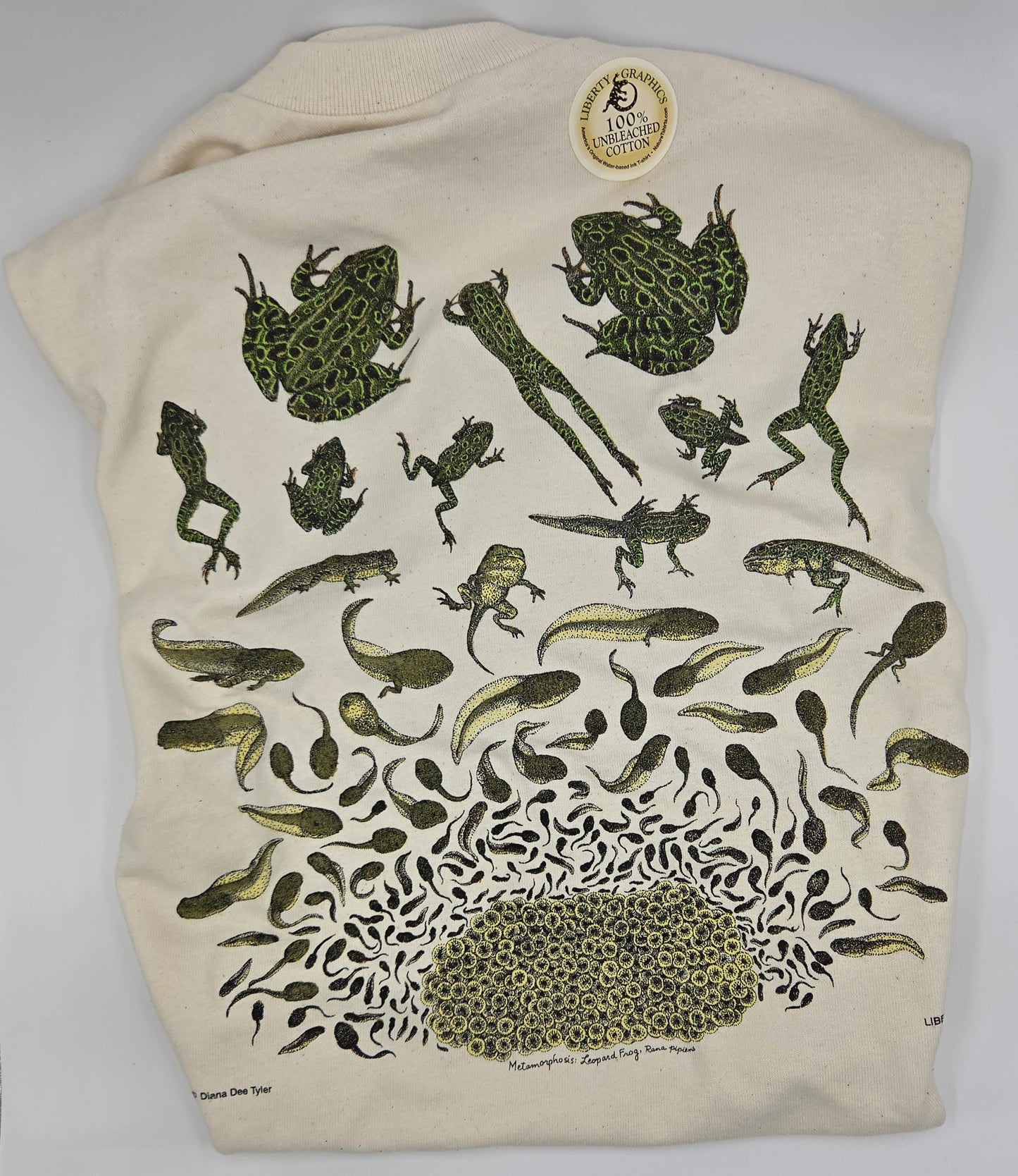 Garment, T-Shirts Frog Metamorphosis