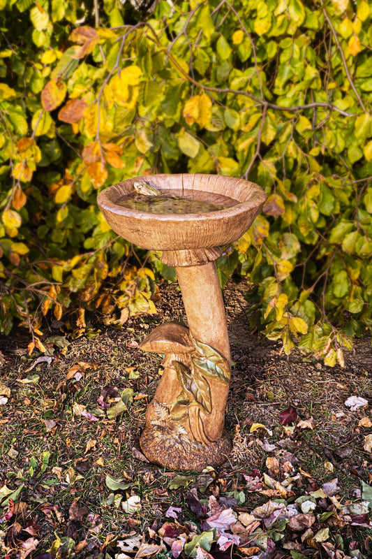 Birdbath- Mushroom