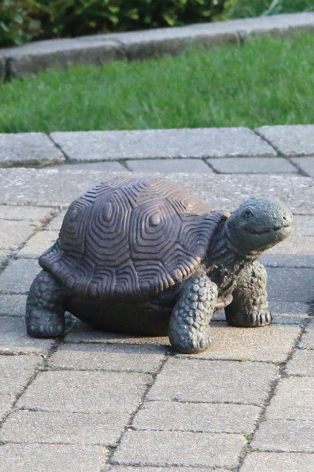 Statuary, Tortoise