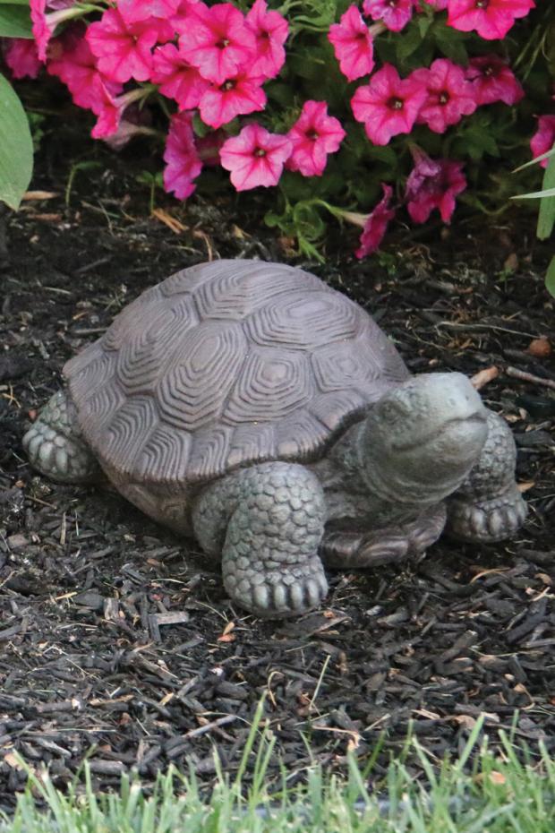 Statuary, Tortoise