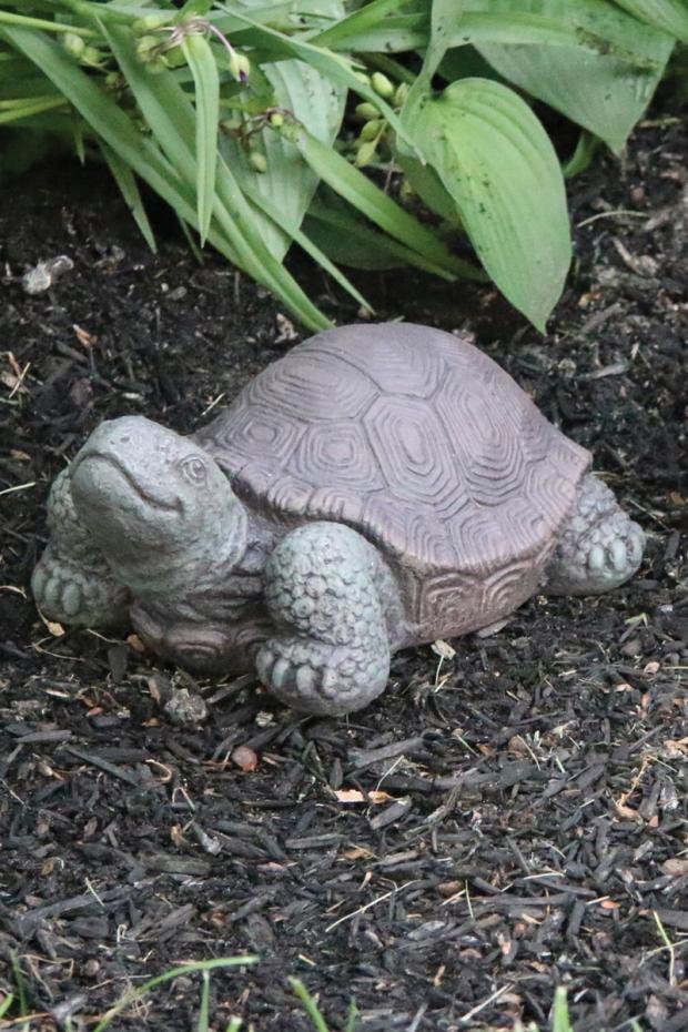 Statuary, Tortoise
