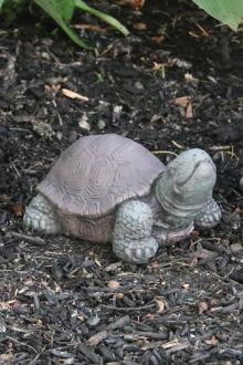Statuary, Tortoise