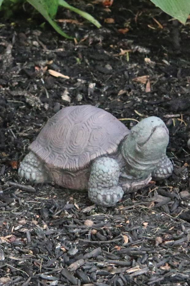 Statuary, Tortoise