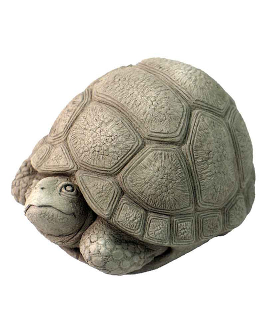 Sculpture- Turtle Toddler