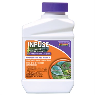 Fungicide, Infuse Lawn Systemic